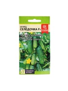 Семена Огурец "Селедочка", F1, Сем. Алт, ц/п, 5 шт - Фото 5