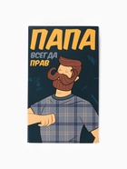 Носки мужские «Папа может», набор 2 пары, размер 41-44 (27-29 см) - фото 65330474