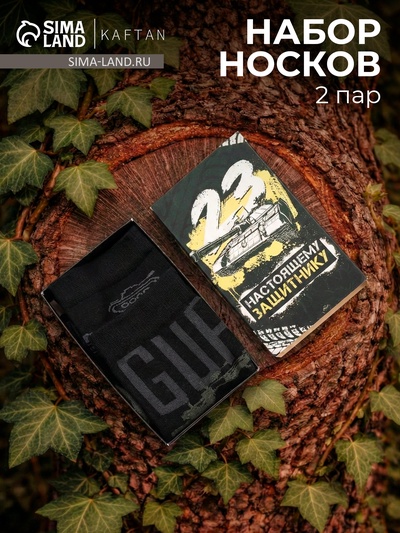 Носки мужские «23 февраля», набор 2 пары, размер 41-44 (27-29 см)