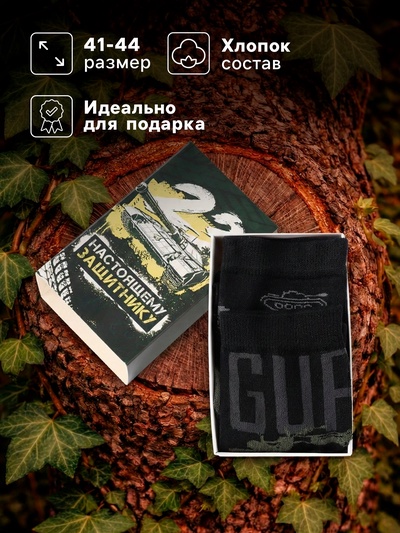 Носки мужские «23 февраля», набор 2 пары, размер 41-44 (27-29 см)