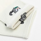 Носки женские "Енот", цвет белый, размер 36-40 - фото 24507690