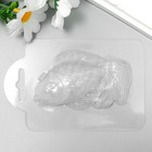 Пластиковая форма "Волшебная рыбка" 9х5,5 см - Фото 1