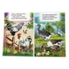 Для малышей. Книжка с наклейками "Домашние птицы" - Фото 2