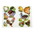 Для малышей. Книжка с наклейками "Домашние птицы" - Фото 3