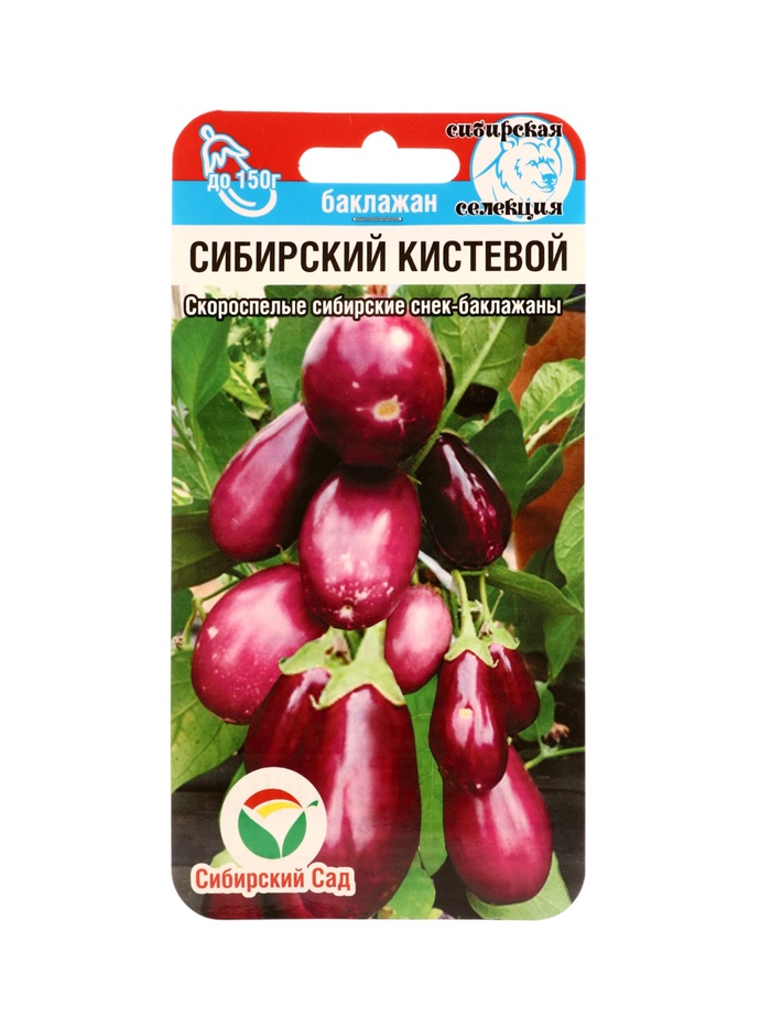 Семена Баклажан «Сибирский кистевой», 20 шт., «Сибирский сад» - Фото 1