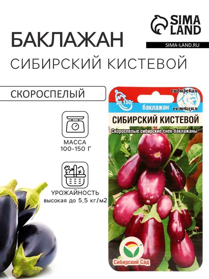 Семена Баклажан «Сибирский кистевой», 20 шт., «Сибирский сад» - Фото 1