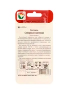 Семена Баклажан "Сибирский кистевой", 20 шт. - Фото 3