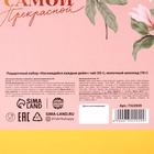 Подарочный набор «Наслаждайся каждым днём»: чай чёрный 50 г, молочный шоколад 70 г - Фото 7