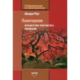 Психотерапия. 2-е издание. Роут Шелдон