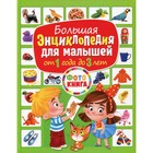 Большая энциклопедия для малышей от 1 года до 3 лет - фото 298663552
