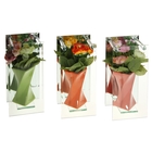 ваза стекло Калипсо 25*12 см изгиб розы - Фото 3