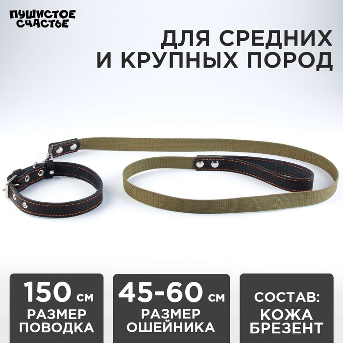 Комплект : ошейник (45-60х2.5 см) кожаный и поводок (150х2.5 см) брезентовый, цвет чёрный - Фото 1