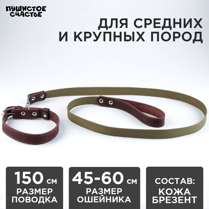 Комплект : ошейник (45-60х2.5 см) кожаный и поводок (150х2.5 см) брезентовый, цвет коричневый - Фото 1