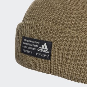 

Шапка мужская Adidas Perf Woolie, размер OSFW Tech size (GS2112)