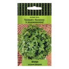 Семена Базилик овощной "Шалун", 0,1 г - Фото 1