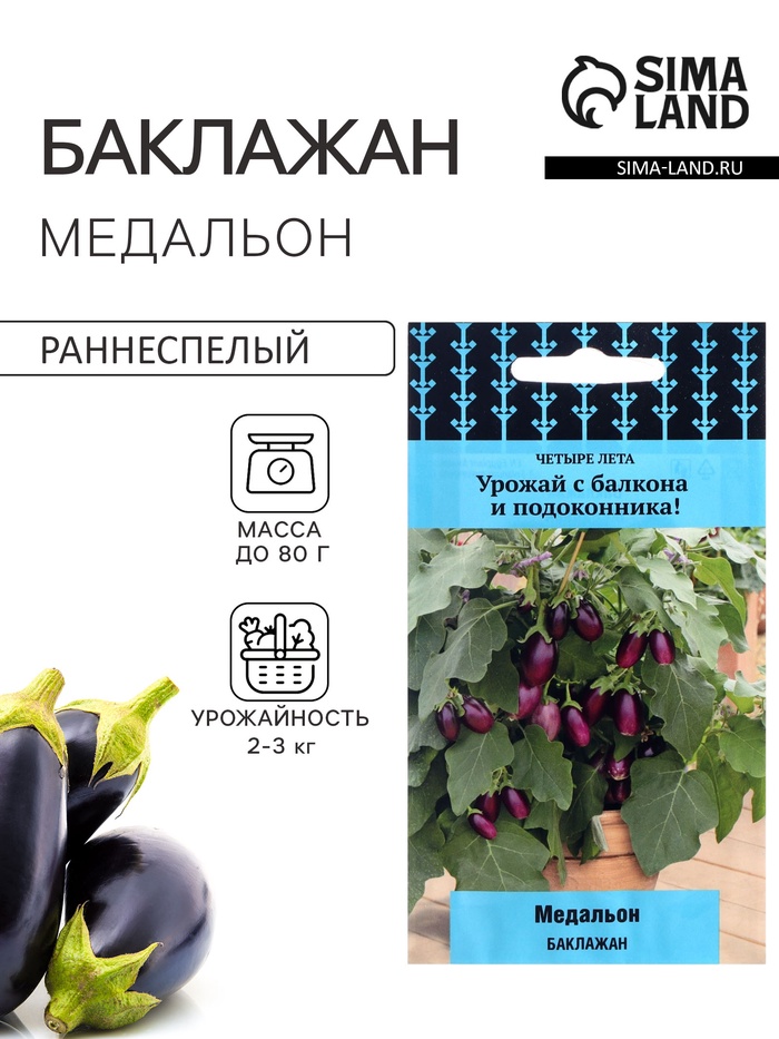 Семена Баклажан «Медальон», 5 шт., «Четыре лета» - Фото 1