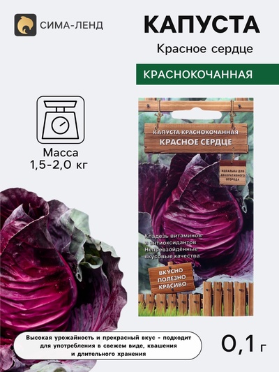 Семена Капуста краснокочанная «Красное сердце», 0.1 г, «Поиск»