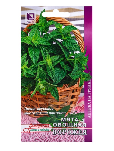 Семена Мята овощная «Ворожея», 0.1 г, «ПОИСК»