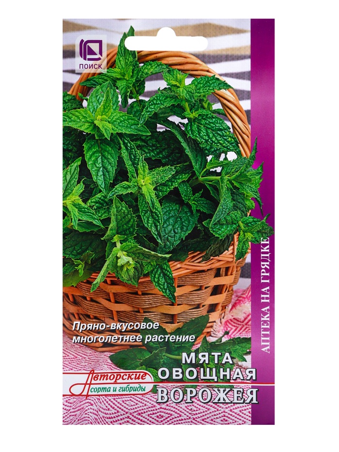 Семена Мята овощная «Ворожея», 0.1 г, «ПОИСК» - Фото 1