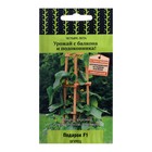 Семена Огурец "Подарок", F1, 5 шт - Фото 1