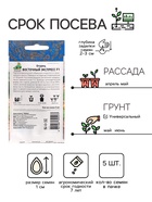 Семена огурца "Восточный экспресс", F1, 5 шт. - Фото 2