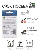 Семена Огурец "Любимец Конфуция", F1, 5 шт - Фото 2