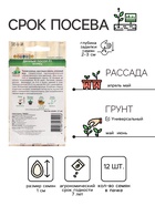 Семена огурца "Дачный Посол", F1, 12 шт. - Фото 2