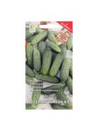 Семена огурца "Веселая семейка", F1, 12 шт. - Фото 5