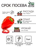 Семена Перец кустарниковый «Мексиканец», 5 шт., «ПОИСК» - Фото 2