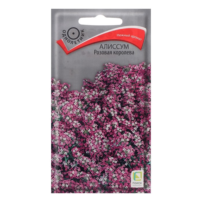Семена цветов Алиссум "Розовая королева", 0,3 г - Фото 1