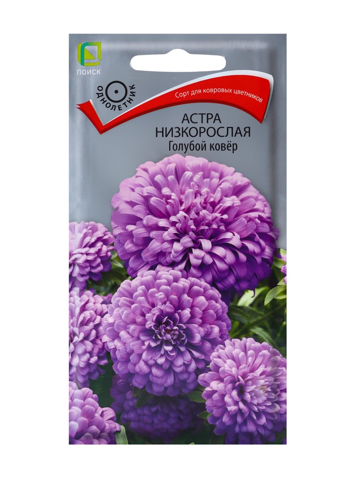Семена цветов Астра низкорослая "Голубой ковер", 0,2 г - Фото 1