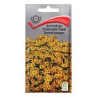 Семена цветов Бархатцы тонколистные "Золотой самоцвет", 0,1 г - Фото 1