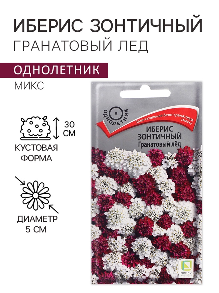 Семена Цветов Иберис зонтичный «Гранатовый лед», 0.1 г, «ПОИСК» - Фото 1