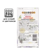 Семена цветов Иберис зонтичный "Ежевичные меренги", 0,1 г - фото 808576788