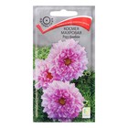 Семена цветов Космея махровая "Роуз бонбон", 0,1 г - Фото 1