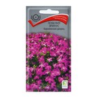 Семена цветов Лобелия эринус "Королевский дворец", 0,1 г - Фото 1