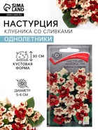 Семена цветов Настурция низкорослая «Клубника со сливками», 1 г, «ПОИСК» - Фото 1