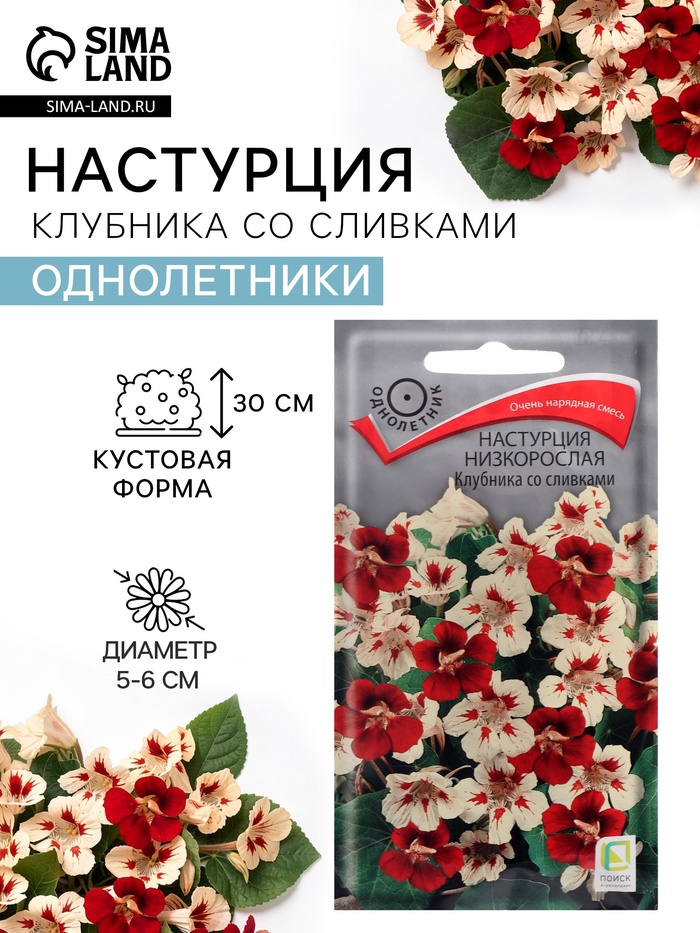Семена цветов Настурция низкорослая «Клубника со сливками», 1 г, «ПОИСК» - Фото 1
