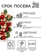 Семена цветов Настурция низкорослая «Клубника со сливками», 1 г, «ПОИСК» - Фото 2