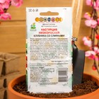 Семена цветов Настурция низкорослая "Клубника со сливками", 1 г - Фото 4