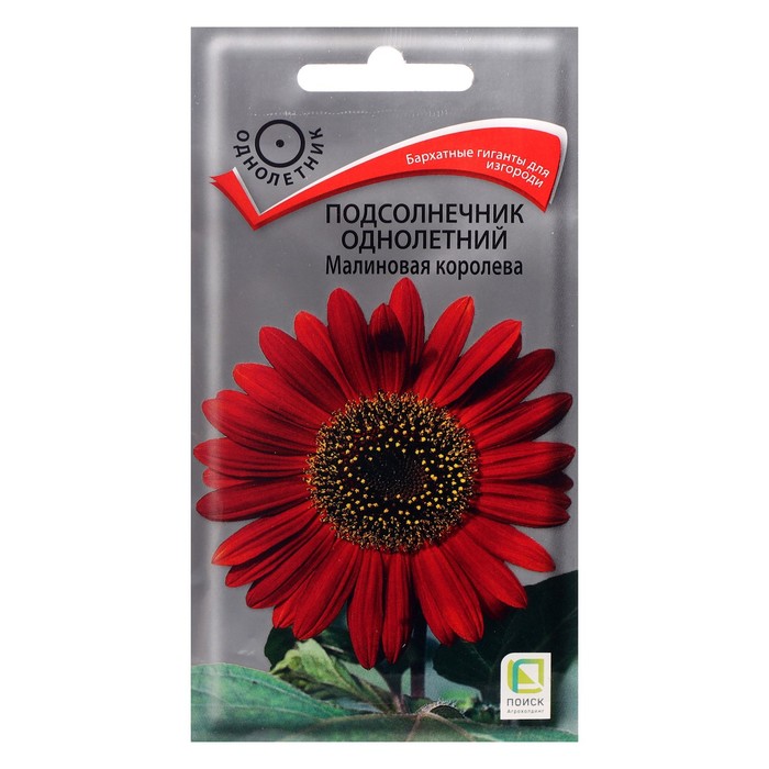 Семена цветов Подсолнечник однолетний "Малиновая королева", 0,5 г - Фото 1