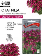 Семена цветов Статица «Суприм карминная», 0.15 г, «ПОИСК» - Фото 1