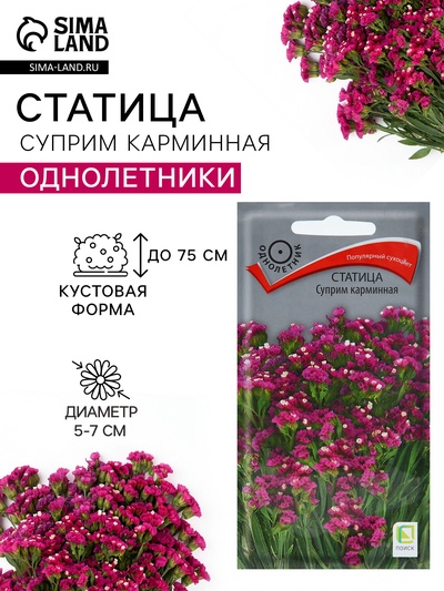 Семена цветов Статица «Суприм карминная», 0.15 г, «ПОИСК»