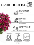 Семена цветов Статица «Суприм карминная», 0.15 г, «ПОИСК» - Фото 2