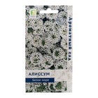 Семена цветов Алиссум "Белое море", 0,3 г - Фото 1