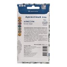 Семена цветов Алиссум "Белое море", 0,3 г - Фото 2