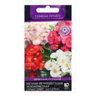 Семена цветов Бегония вечноцветущая зеленолистная "Спринт Плюс Макси", Микс, 10 шт. - Фото 1