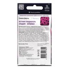 Семена цветов Петуния грандифлора "Аладдин Бордовая", 30 шт. - Фото 2