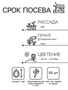 Семена цветов Петуния грандифлора "Аладдин Красная", 30 шт. - Фото 2