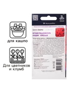 Семена цветов Петуния грандифлора "Аладдин Красная", 30 шт. - Фото 3